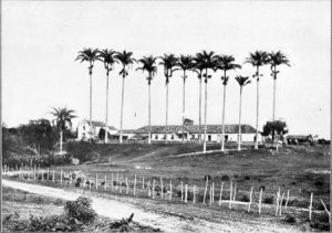 Fazenda do Rosário em 1911. Seu nome deve ter sido a razão do nome original da estação.